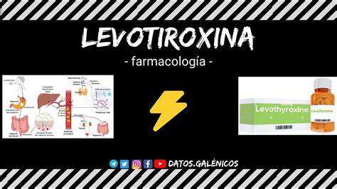 diagrama de acción de levotiroxina en el cuerpo