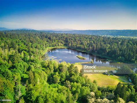 paisaje lacustre y bosques de Laceno