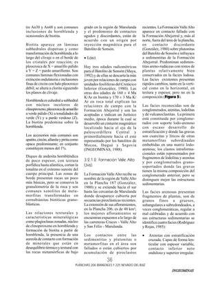 figura explicativa de fanfole y metasemántica