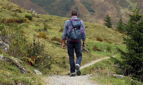 imagen de caminata consciente en naturaleza