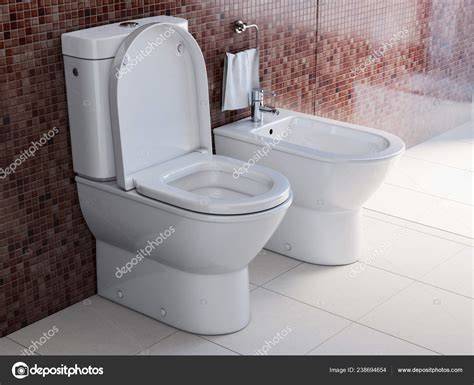 ilustración del baño y bidet italiano