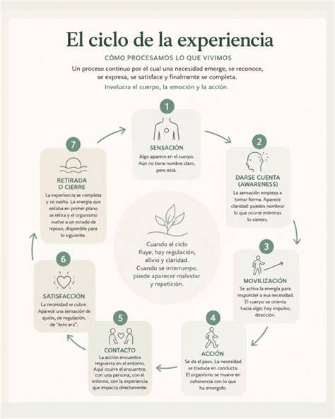 diagrama de la experiencia mística AngelaFoligno