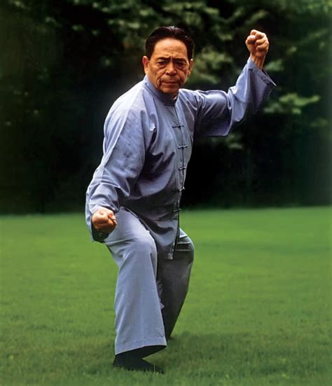 imagen de maestro de Taiji Feng Zhiqiang y discípulos
