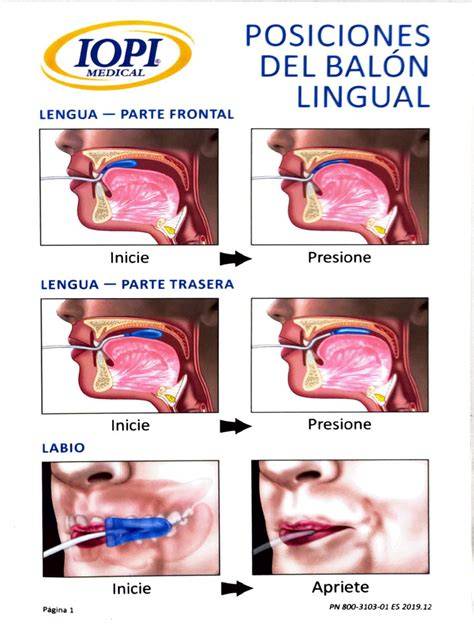 gráfico de posicion lingual y respiración